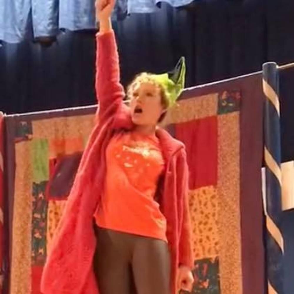 Meet your Posher, Stella